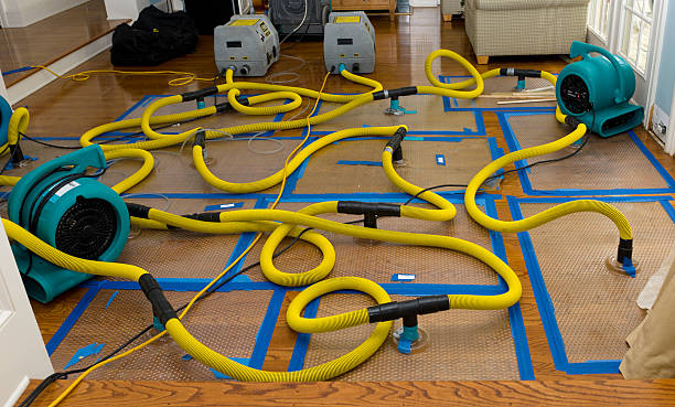 Professional Basement Flood Cleanup technician working in High Shoals, NC